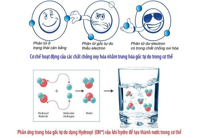 Bật mí cách người Nhật tạo ra nước điện giải ion kiềm - Ảnh 3